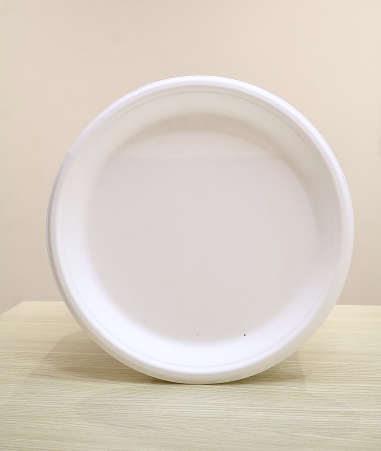 Bagasse Plate (12 Inch)