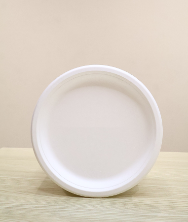 Bagasse Plate (7 Inch)