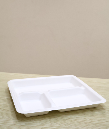 Square Compartment Plate (10 * 9 Inch 3CP)